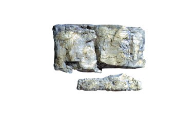 C1239