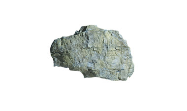 C1240