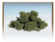 Foliage Clusters<sup>™</sup>