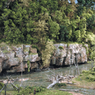 Landscape Accents