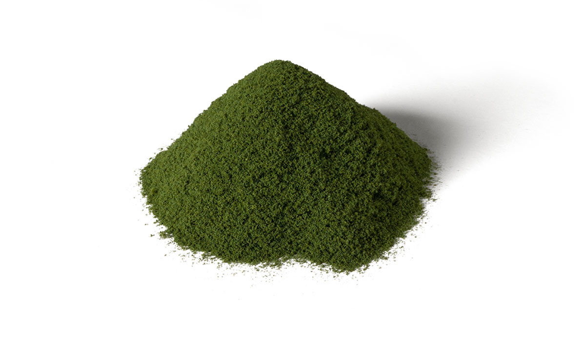 Grass